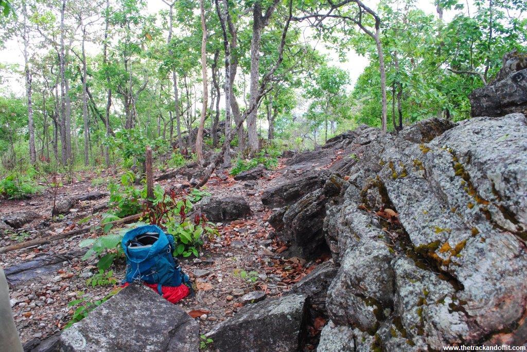 Virachey National Park